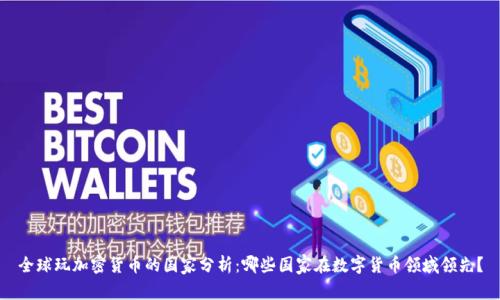 全球玩加密货币的国家分析：哪些国家在数字货币领域领先？