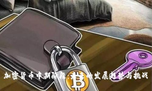 加密货币中期阶段：未来的发展趋势与挑战