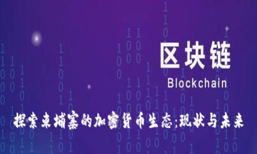探索柬埔寨的加密货币生态：现状与未来