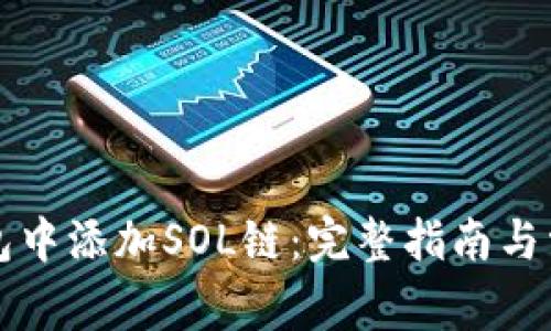 如何在TP钱包中添加SOL链：完整指南与常见问题解析