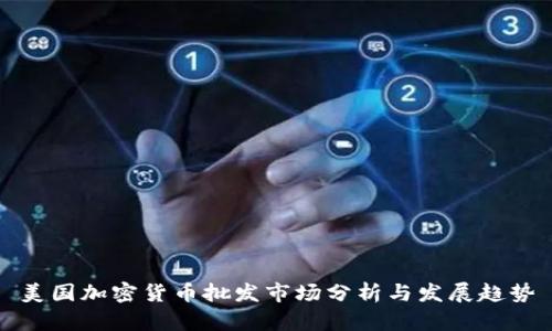 美国加密货币批发市场分析与发展趋势