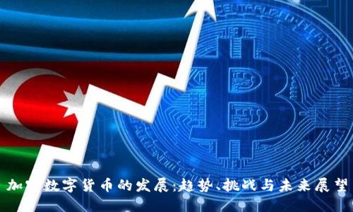 加密数字货币的发展：趋势、挑战与未来展望