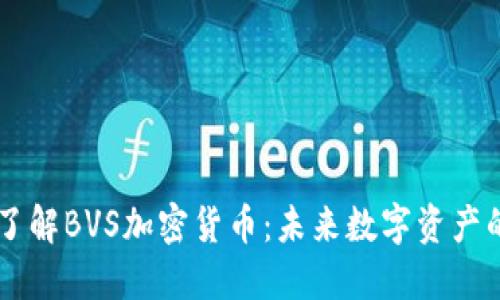 深入了解BVS加密货币：未来数字资产的新星