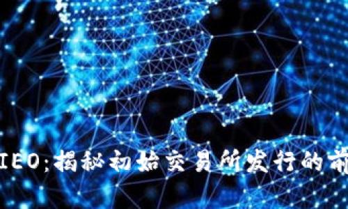 加密货币IEO：揭秘初始交易所发行的前景与挑战