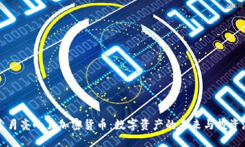 探索月亮小鸟加密货币：数字资产的未来与投资潜力