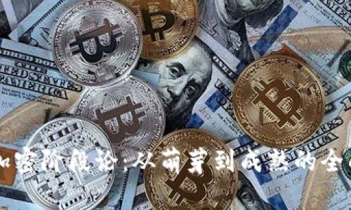 货币加密阶段论：从萌芽到成熟的全面解析