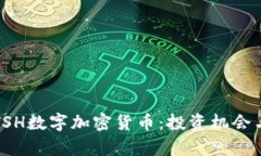 深度解析TSH数字加密货币