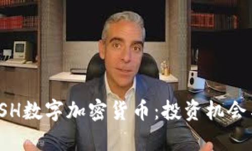 深度解析TSH数字加密货币：投资机会与市场前景