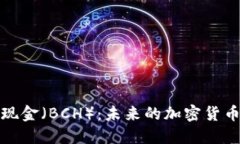 深入探讨比特币现金（B