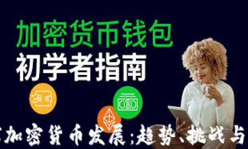 
全球加密货币发展：趋势、挑战与未来