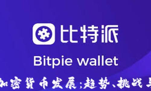 
全球加密货币发展：趋势、挑战与未来