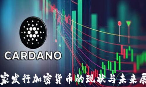 
国家发行加密货币的现状与未来展望