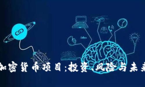 深入探讨加密货币项目：投资、风险与未来发展趋势