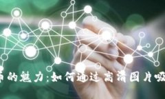  加密货币的魅力：如何通