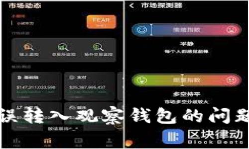 如何解决TP钱包误转入观察钱包的问题及常见疑问解答