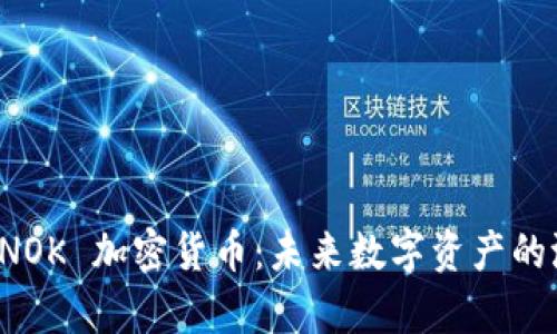 全面解析 NOK 加密货币：未来数字资产的潜力与挑战