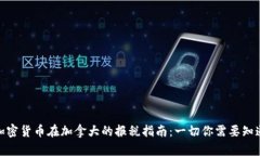 : 加密货币在加拿大的报税