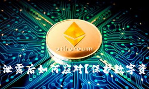 : TP钱包密钥泄露后如何应对？保护数字资产的全面指南