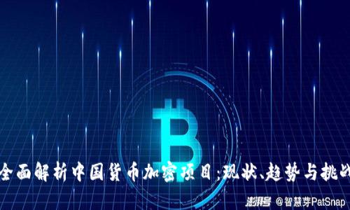 全面解析中国货币加密项目：现状、趋势与挑战