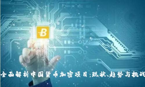 全面解析中国货币加密项目：现状、趋势与挑战