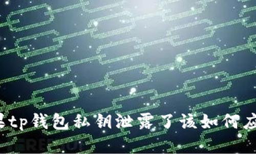 如果tp钱包私钥泄露了该如何应对？