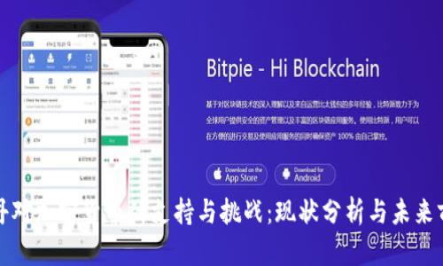 苏丹对加密货币的支持与挑战：现状分析与未来前景