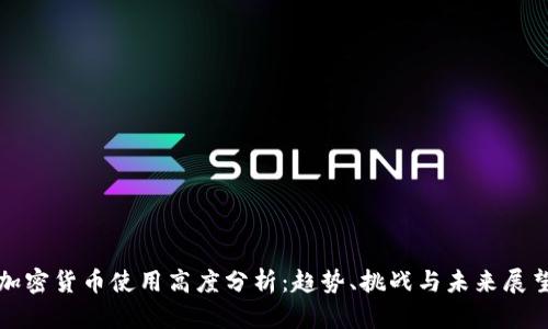 加密货币使用高度分析：趋势、挑战与未来展望