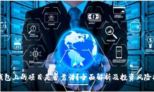 TP钱包上的项目是否靠谱？全面解析及投资风险指南