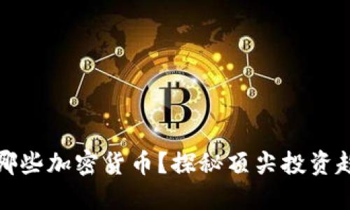 风投机构投资哪些加密货币？探秘顶尖投资趋势与者的选择