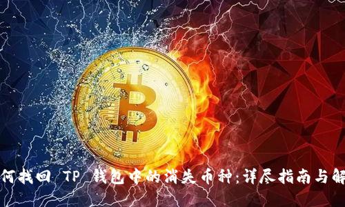 如何找回 TP 钱包中的消失币种：详尽指南与解答