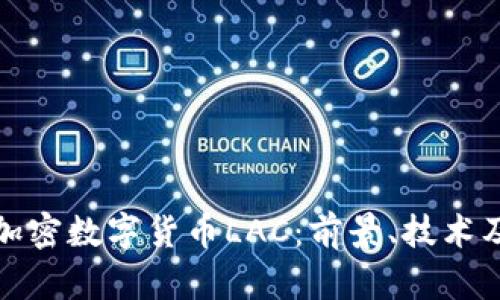 深入解析加密数字货币LAC：前景、技术及投资策略
