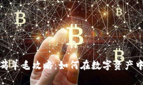 加密货币置换薅羊毛攻略：如何在数字资产中实现财富增长