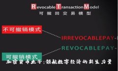 加密货币太子：领航数字