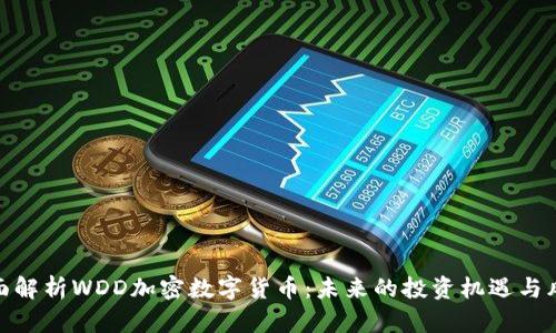 全面解析WDD加密数字货币：未来的投资机遇与风险
