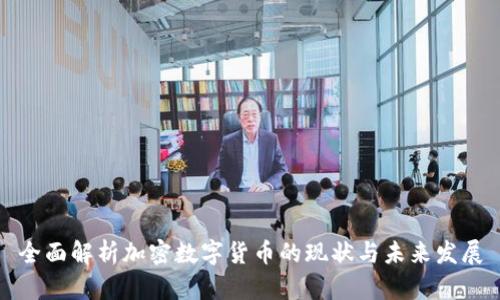 全面解析加密数字货币的现状与未来发展