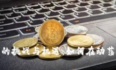 数字加密货币的挑战与机遇：如何在动荡的市场