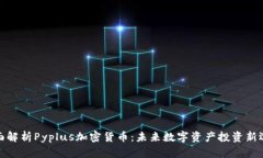 全面解析Pyplus加密货币：未来数字资产投资新选