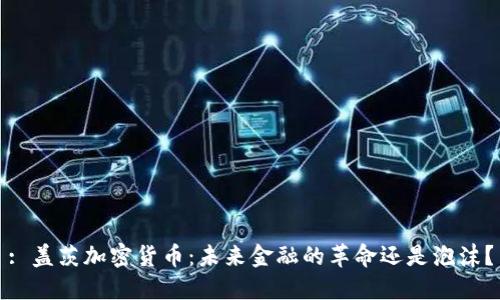 : 盖茨加密货币：未来金融的革命还是泡沫？
