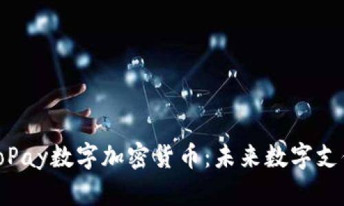 : 探索GoPay数字加密货币：未来数字支付的革命