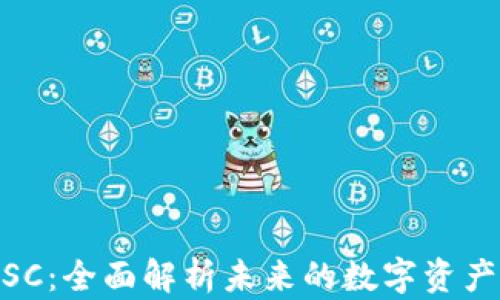 
加密货币SC：全面解析未来的数字资产投资机会