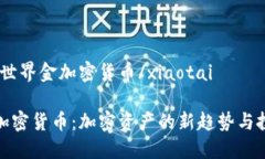 xiaotai世界金加密货币/xi