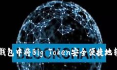 如何在TP钱包中将Big Toke