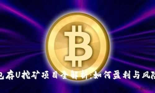 TP钱包存U挖矿项目全解析：如何盈利与风险管理