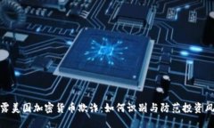 揭露美国加密货币欺诈：