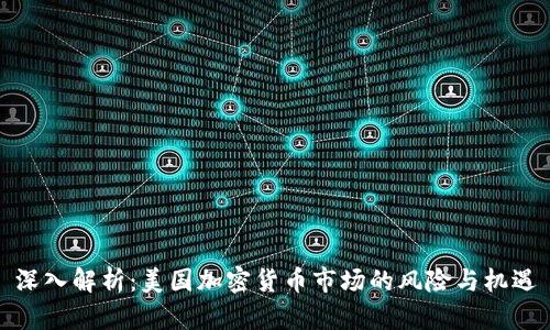 深入解析：美国加密货币市场的风险与机遇