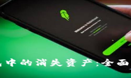 如何找回TP钱包中的消失资产:全面指南与解决方案