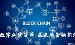 MR数字加密货币：未来的金