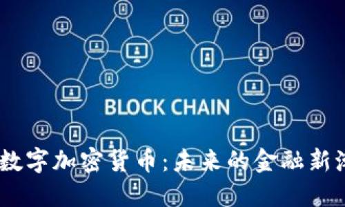 MR数字加密货币：未来的金融新潮流