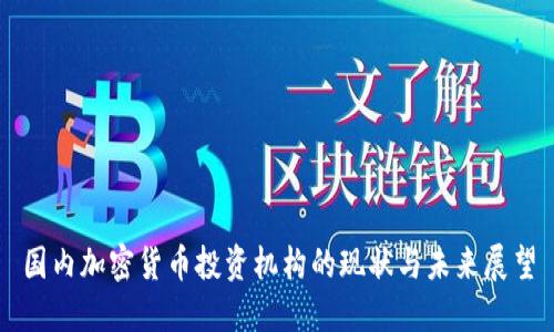 国内加密货币投资机构的现状与未来展望