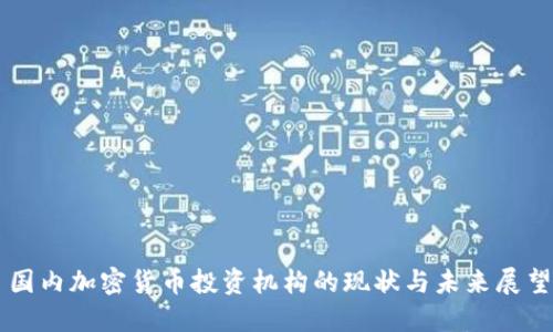 国内加密货币投资机构的现状与未来展望